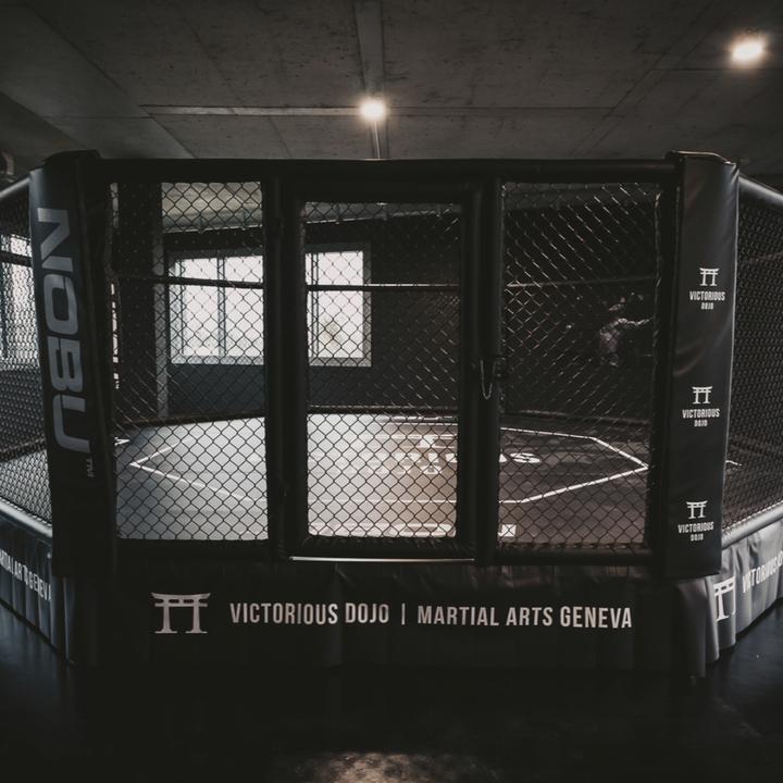 Productafbeelding Custom POWER SUPPLY 60W MSO+RC (42)