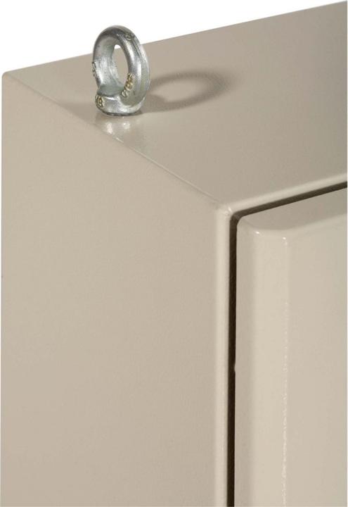 Actual product image Schneider Electric Crane eye NSYAELYTCRG8
