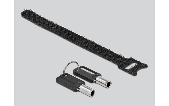 Actual product image Delock Security lock with key for nano slot