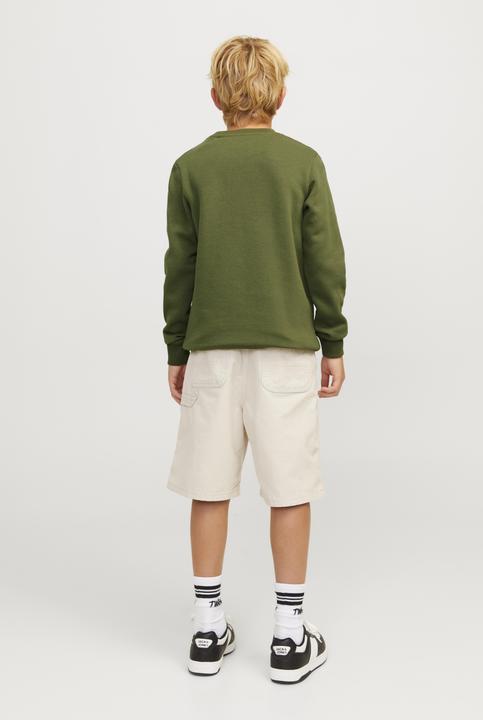 Image du produit Jack & Jones Jcomountain Logo Sweat Crew Neck Sn Jnr (152)