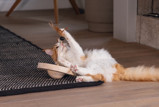 Immagine prodotto Designed by Lotte Winni (Catmint giocattolo)