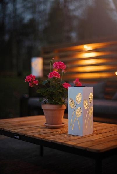 Image du produit Star Trading Décoration intérieure Windo