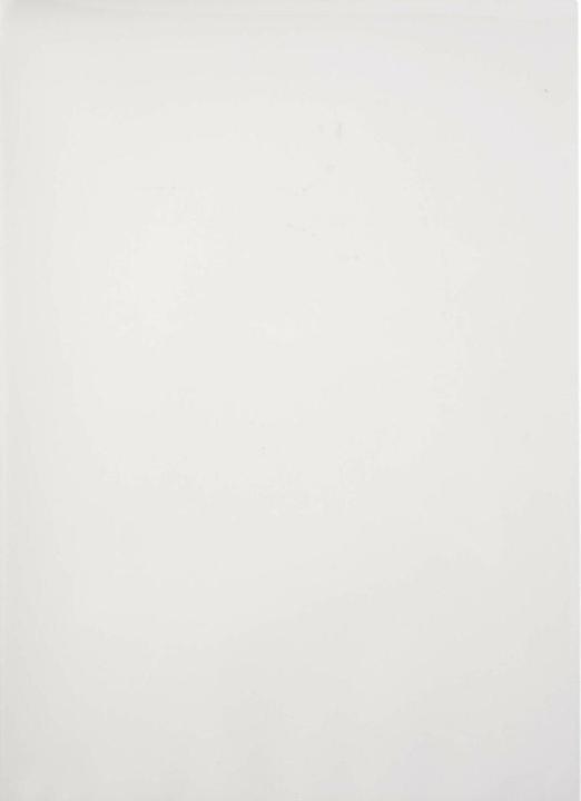 Immagine prodotto Fellowes Impronta 100 (A4, 100 Pezzo/i, 100 µm)