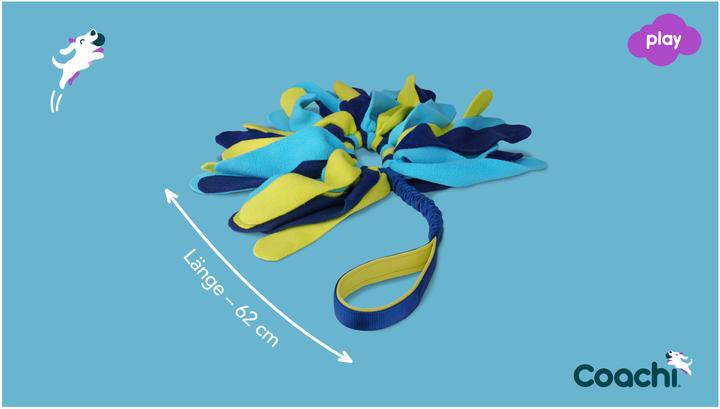 Actual product image Company of Animals Coachi reward game Tuggi Spider (Dog activity toy)