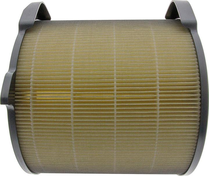 Image du produit Flickbee Filtre pour Electrolux Pure A9- remplace EFDBTH4