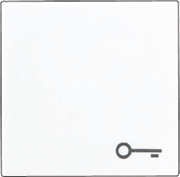 Image du produit JUNG Bascule interrupteur A alu brillant serrure/porte A590TAL