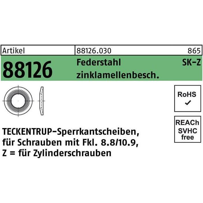 Teckentrup, Dadi + Rondelle, Rondella di sicurezza R 88126 Z 10x16,1x1,6 Molla in acciaio zincato a scaglie