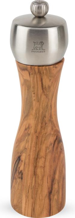 Peugeot Fidji (Pfeffer)