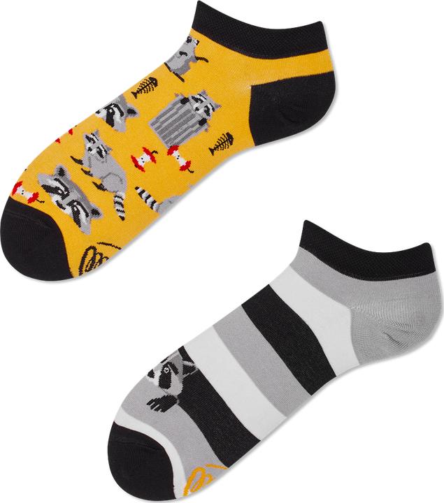 Actual product image Many Mornings Raccoon Bandit (Single pack, 39 - 42)