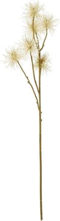 Immagine prodotto Hill Interiors Xanthium Spray Fiore Artificiale (81 cm)