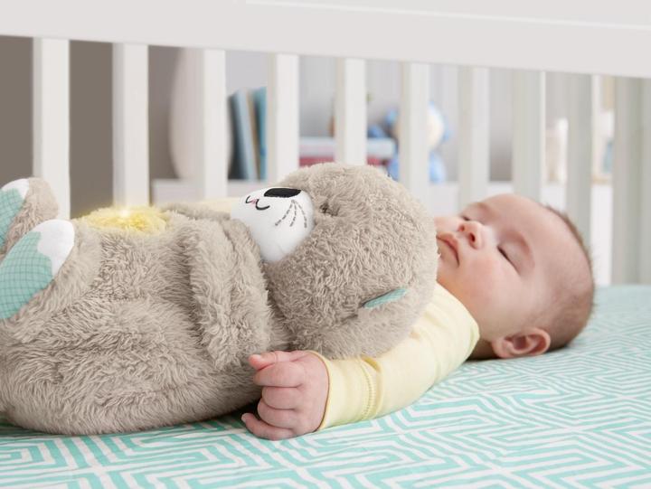 Produktbild Fisher-Price Schlummer-Otter (33.50 cm)