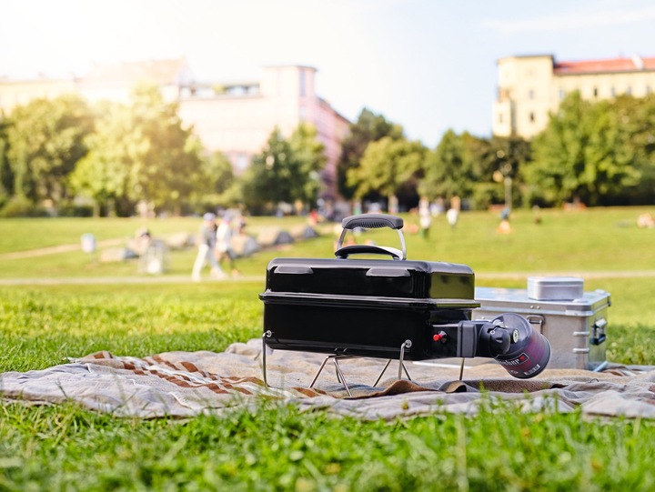 Immagine prodotto Weber Go-Anywhere (1.90 kW)