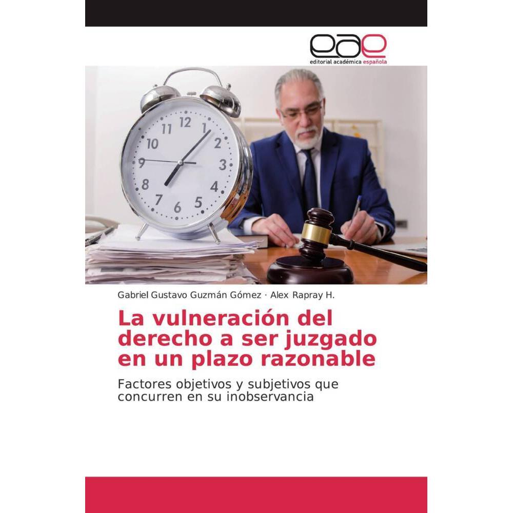La vulneración del derecho a ser juzgado en un plazo razonable, Fachbücher von Alex Rapray H., Gabriel Gustavo Guzmán Gó...