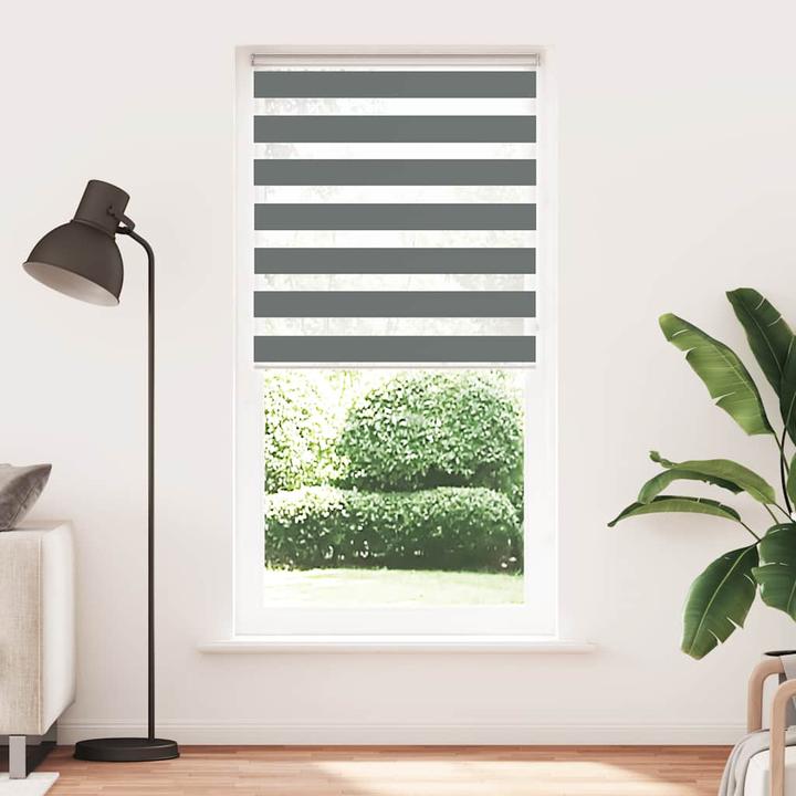 Produktbild vidaXL Zebra-Jalousie (95 x 200 cm)