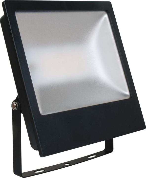 Actual product image IDV LED floodlight
