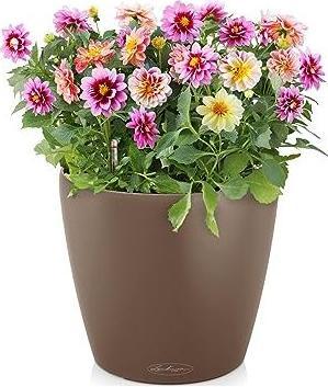 Produktbild Lechuza Classico Color 18 (19 x 17 cm)