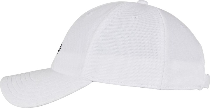 Actual product image Cayler & Sons C&S WL Forever Six Curved Cap (One size)