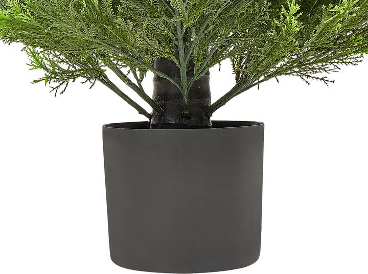 Immagine prodotto Beliani Cedar Tree (120 cm)