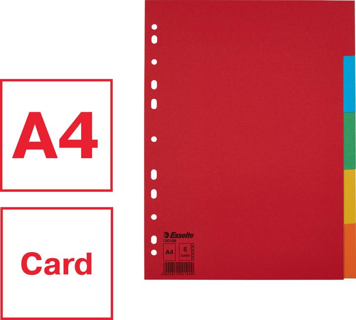 Produktbild Esselte Kartonregister Blanko