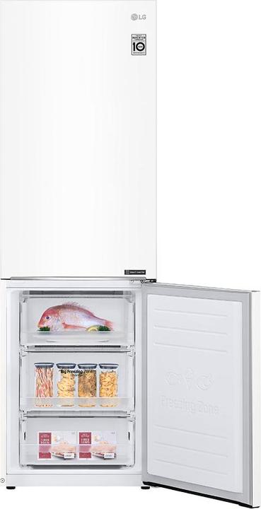 Actual product image LG REFRIGERATOR GBP31SWLZN () (342 l)