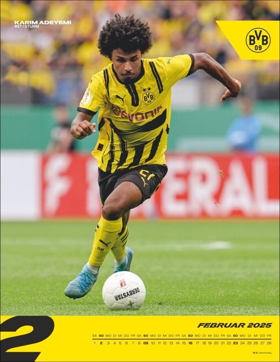 Produktbild Heye BVB Posterkalender 2025 (34 x 44 cm)