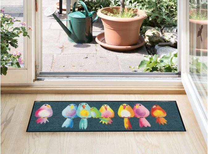 Produktbild Salonloewe Rainbow Birds (30 x 100 cm)
