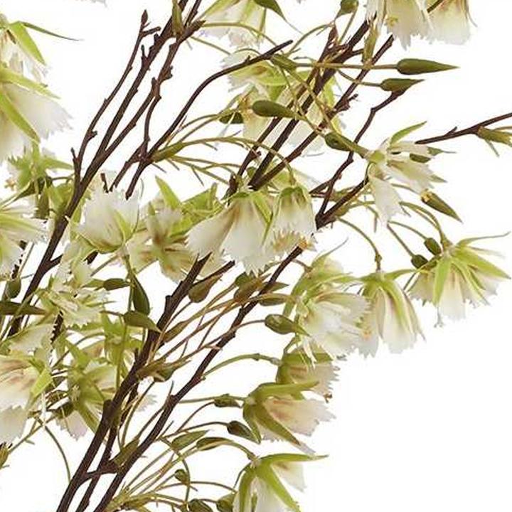Actual product image Hill Interiors Elaeocarpus Artificial Flower (100 cm)