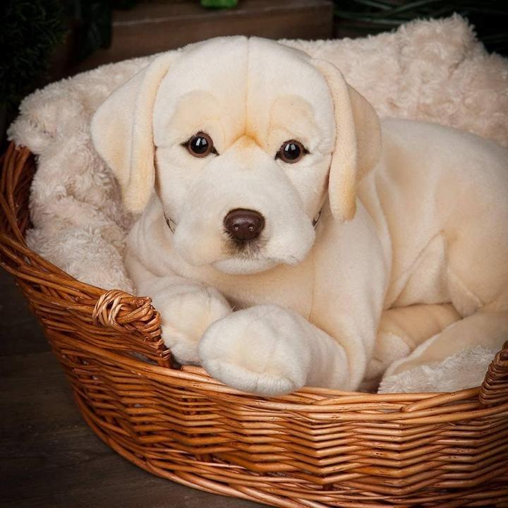 Actual product image Living Nature Golden Labrador (6 cm)