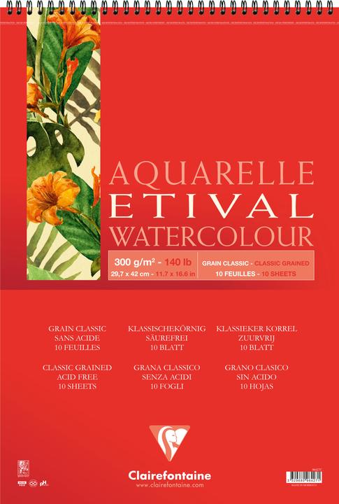 Produktbild Clairefontaine Feuchte Techniken (300 g/m², 100 x)