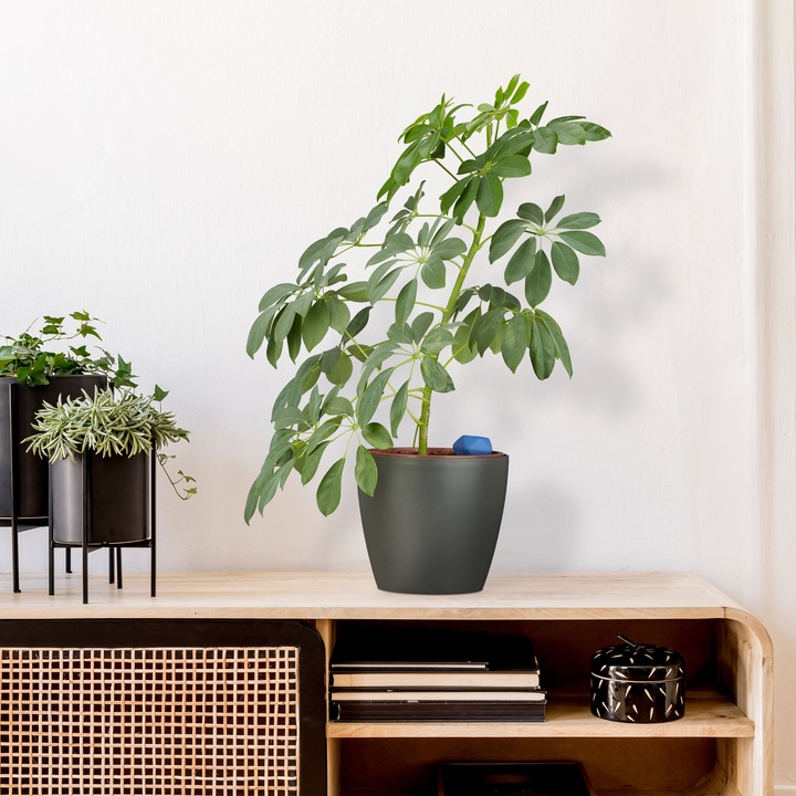Actual product image Relaxdays Watering globes (Irrigation balls)