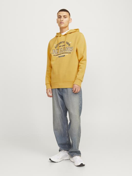 Produktbild Jack & Jones JJELOGO SWEAT HOOD 2 COL 24/25 NOOS (S)