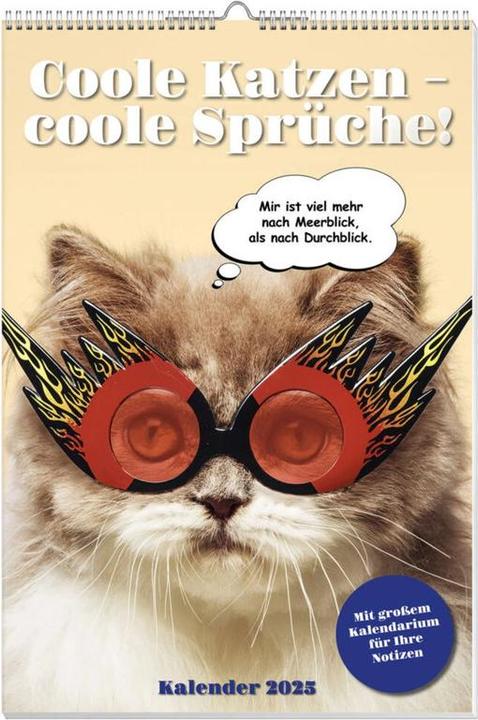 Produktbild Coole Katzen Posterkalender 2025