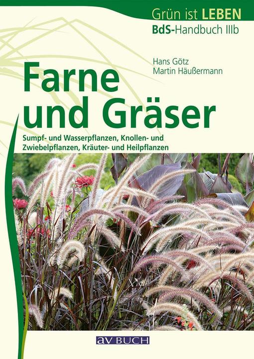 Produktbild BdS-Handbuch 03b. Farne und Gräser (Deutsch, Hans Götz, Martin Häussermann, 2012)