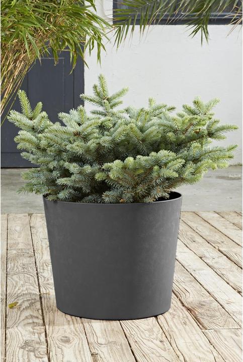 Actual product image Poétic Plant pot 'Element (49.30 x 42 cm)