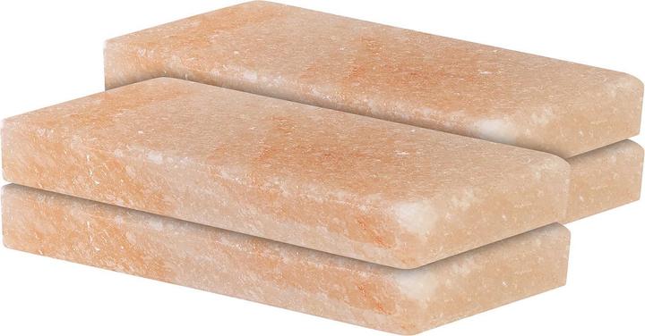 Immagine prodotto Rosenstein & Söhne Set di 4 pietre di sale per grigliare, 10 x 20 x 2,5 cm