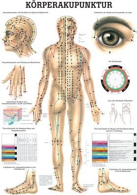 Ruediger RÜDIGER Poster laminé Acupuncture corporelle 50 x 70 fr (50 x 70 cm)