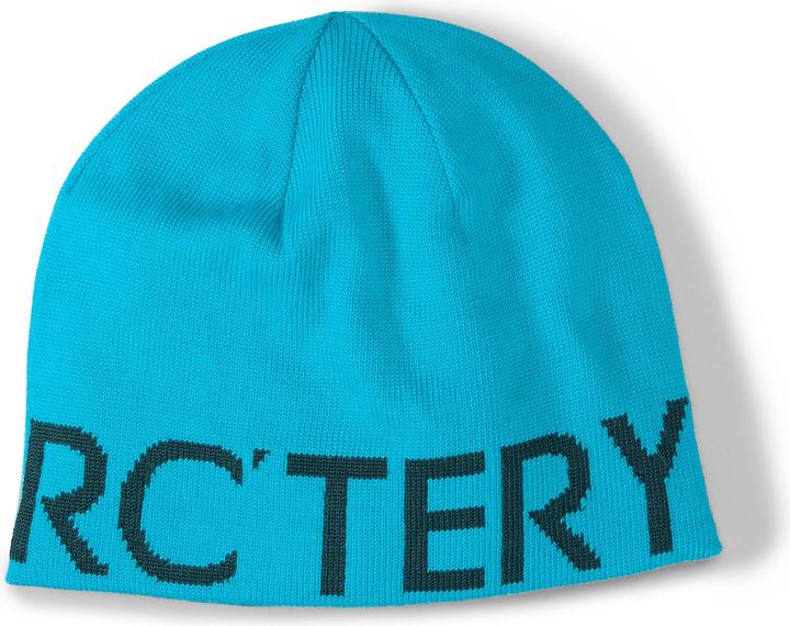 Arc'teryx Word Head Toque (One Size)