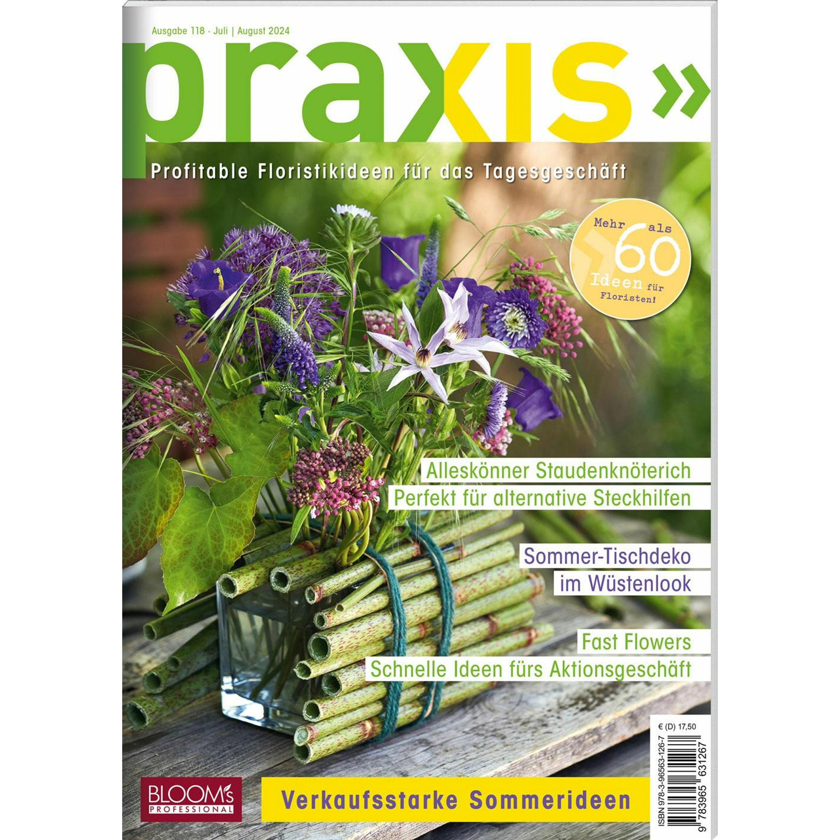 PRAXIS Nr. 118, Ratgeber von Team PRAXIS