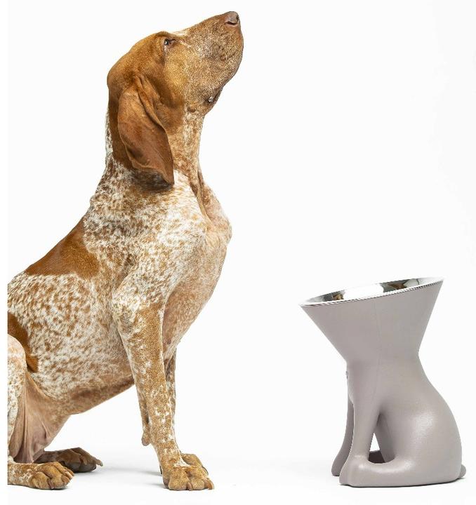 Image du produit United Pets Elisabeth (110 cl)