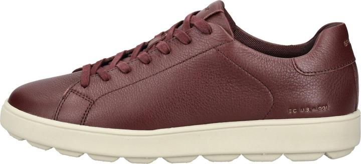 Image du produit Geox Sneaker (41)