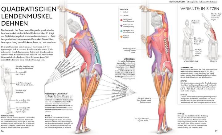 Actual product image Malek:Stretching - Die Anatomie versteh (German, Leada Malek, 2023)
