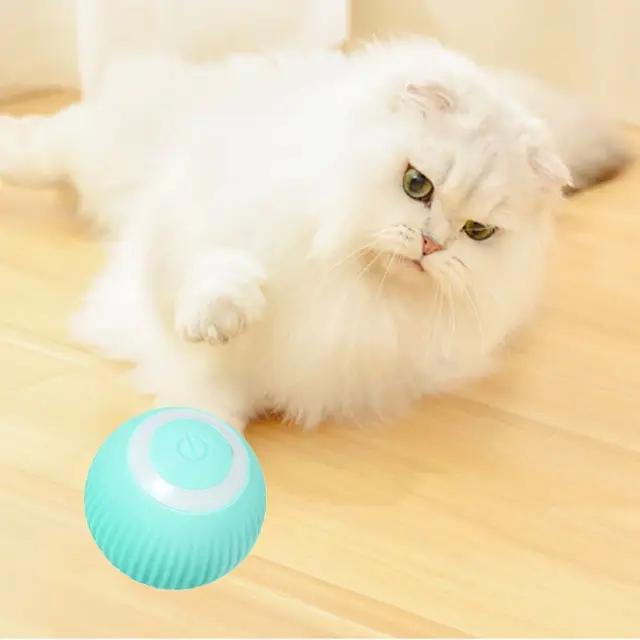 Produktbild Esmée Rollender Spielball 2er Set USB Katzen Spielzeug