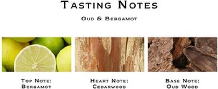 Produktbild Jo Malone Oud & Bergamot (Eau de Toilette, 100 ml)