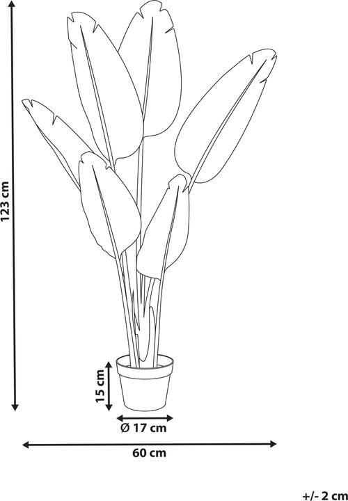 Immagine prodotto Beliani Banana Tree (123 cm)