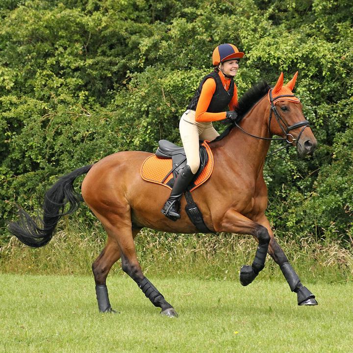 Immagine prodotto Hy Equestrian Leggings da equitazione (L)