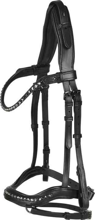 Catago Raja icelandic bridle