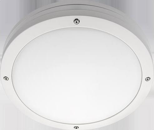 Sg LED-Wandanbauleuchte EVJE 12W 3000K 641820 (1225 lm)