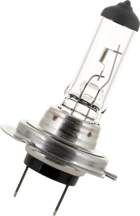 Actual product image Osram Original Line H7 (H7)