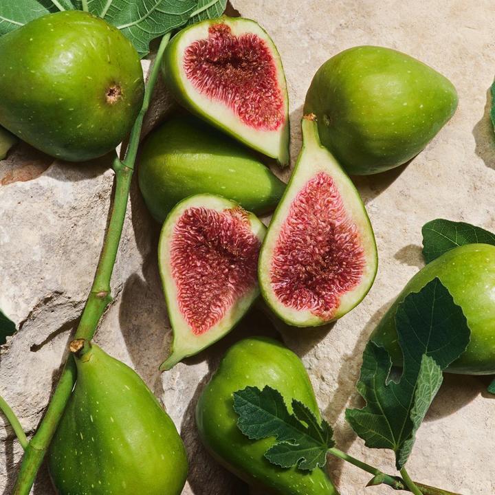 Produktbild Dolce & Gabbana Light Blue (Eau de Parfum, 100 ml)