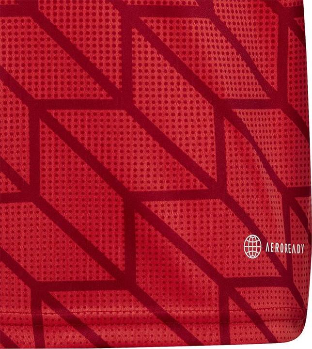 Image du produit adidas Team Icon 23 Maillot (140)